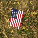 America In the Fall