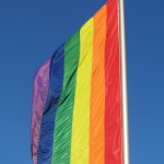 Gay Flag