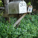 mail box