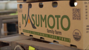Masumoto Family Farm