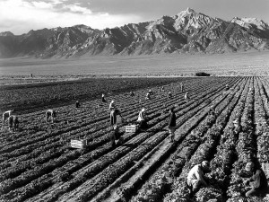 Manzanar by Ansel Adams