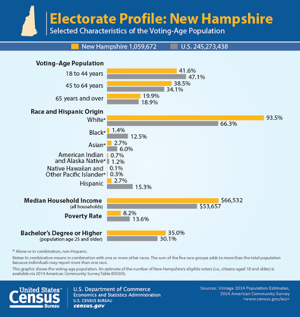 New Hampshire voters