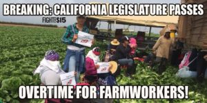 Farmworkers fight for Overtime Pay