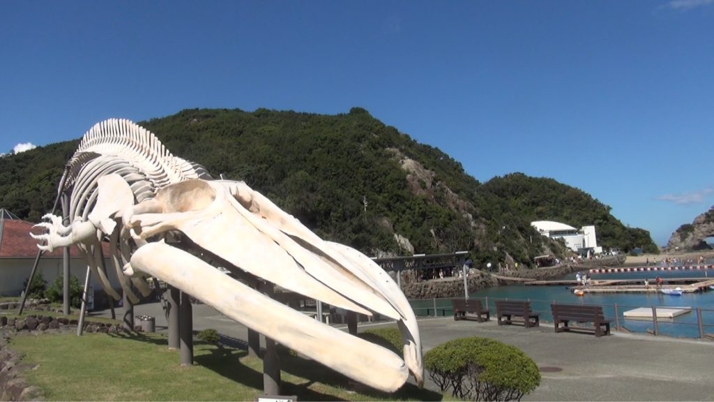 Taijji Whale Museum